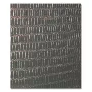 Hotfix Transfer imitation Black Lizard x1