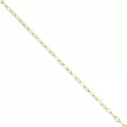 2.2mm Oval cable mesh chain - 3 micron Gold plated x 50cm