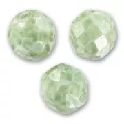 Fire Polished faceted round beads 10mm Marbled Green x10