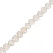 6x5mm Irregular oval freshwater pearls - Pearl Cream x34cm