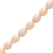 10x8mm Irregular oval freshwater pearls - Pearl Peach x35cm