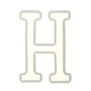 40x26mm Silicone mold for making the letter H in resin x1