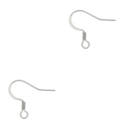 304 Stainless steel 17mm earwires x100|raw }}
