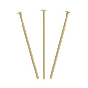 19x0.55mm Gold filled Head pins x10|raw }}