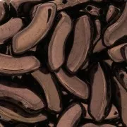 6x15mm QuadBow Bead Glass beads - Dark Bronze x10