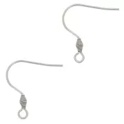 21mm 316L Stainless Steel earwires with open ring x2