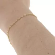 Double ring 2mm link cable chain - Fine Gold Plated x1m