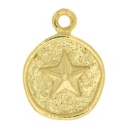 17x13mm Irregular round charm with starfish - 3 micron gold plated x1|raw }}