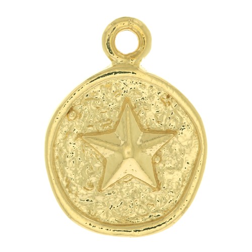 17x13mm Irregular round charm with starfish - 3 micron gold plated x1