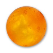 Polaris round bead polsweet 8mm Topaz x1|raw }}