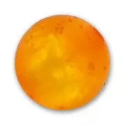 Polaris round bead polsweet 8mm Topaz x1