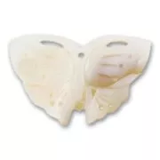 Mother-of-Pearl Flower 25x41mm Natural x1