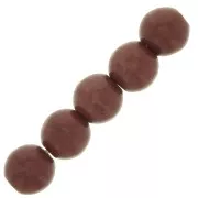 8mm Imitation Howlite Dyed Round beads - Brown x10