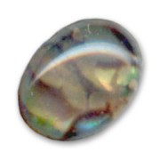 Abalone cabochon  8x6mm natural x1|raw }}