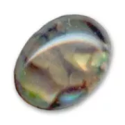 Abalone cabochon 8x6mm natural x1