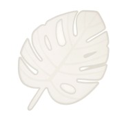 Silicone mould to make a 24x17cm Philodendron leaf in resin x1|raw }}