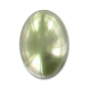 Pearly resin cabochon 18x13mm Olive x1