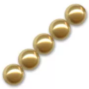 Perles nacrées PureCrystal 5810 3 mm Bright Gold Pearl x20