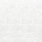 Embossing powder White x 40 ml