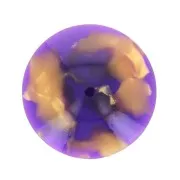 18mm Acetate Round Cabochon - Tortoiseshell - Purple - Gold x1