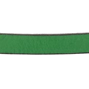 Leather lace 10mm Fir Green x30cm
