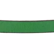 Leather lace 10mm Fir Green x30cm