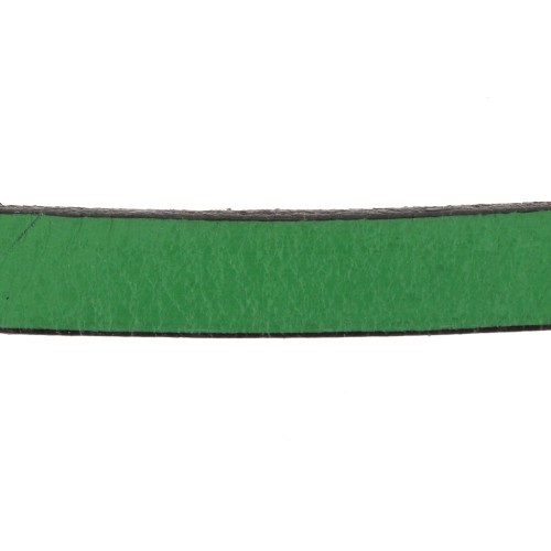 Leather lace 10mm Fir Green x30cm