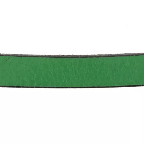 Leather lace 10mm Fir Green x30cm
