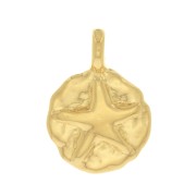 9mm Round Irregular Starfish Charm - Fine Gold plated x1|raw }}
