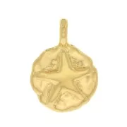9mm Round Irregular Starfish Charm - Fine Gold plated x1