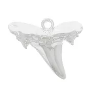 13x16mm Shark tooth pendant - Fine Silver Plated x1