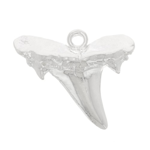 13x16mm Shark tooth pendant - Fine Silver Plated x1