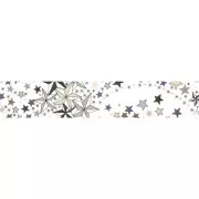 Bias ribbon Liberty Adelajda Délavé x 1m