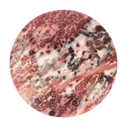 20mm round flat Cabochon - Leopard Jasper x1