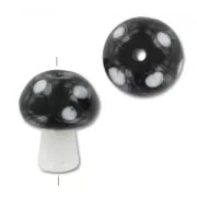 Champignons