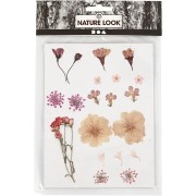 Dried & pressed flower assortment on board for DIY creation - Light pink x1