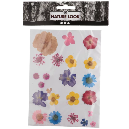 Dried & pressed flower assortment on board for DIY creation - Mixed x1