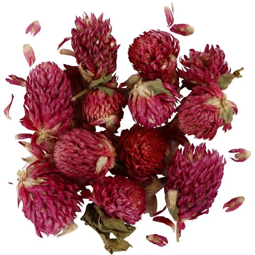 Dried Flower Assortment - Red Clover - Purple x15g