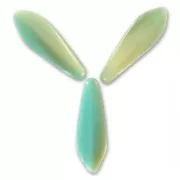 Dagger 5x16mm Mint/Ivoire x50