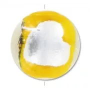Perles feuille d'Argent & d'Or