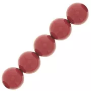 4mm Preciosa Pearls - Round Maxima -  Cranberry x30