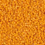 Miyuki Delica 11/0  DB0651 - Dyed Opaque Squash - Wholesale x 100g