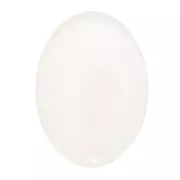 18x13mm Oval self-adhesive epoxy cabochon - Transparent x1