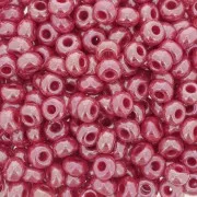 Preciosa Seed Beads 6/0 4 mm - Siam Luster x20g