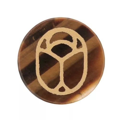 20mm Round flat cabochon - beetle - by Perles&Co - Tiger Eye - Gold x1