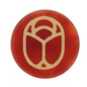 15mm Flat Cabochon - engraved beetle - by Perles & Co - Carnelian - Gold x1