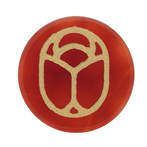 15mm Flat Cabochon - engraved beetle - by Perles & Co - Carnelian - Gold x1