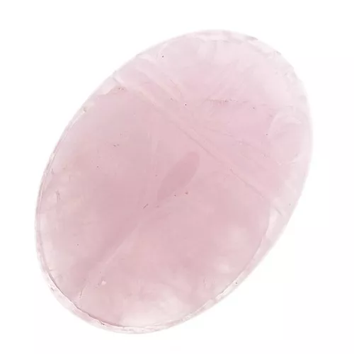 25x18mm Oval engraved beetle cabochon - Rose Quartz x1