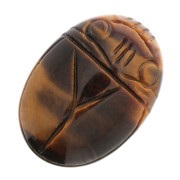 25x18mm Oval engraved beetle cabochon - Tiger Eye x1