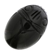 25x18mm Oval engraved beetle cabochon - Black Agate x1